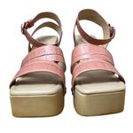 Sam Edelman  Women’s 7 US Terracotta Rose Block Heel Ankle Strap Leather Sandals Photo 3