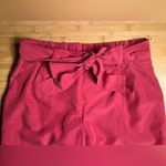 Old Navy Womens Strawberry Tropix High Rise Belted Paper Bag Pull-On Pants|Sz:S Photo 15