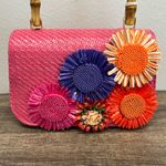Haute Hippie | Pink Mini Bag w/ Bamboo Handle & Crossbody Chain Photo 1