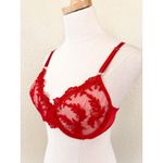 Red Lace Underwire Sheer Bra size Large Photo 1