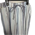 Briggs New York Briggs Womens Linen Blend Pull On Pants Blue Vertical Striped Straight Size L Photo 0