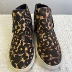 Madden Girl  Women's Leopard Print Shoes / Sneakers Size 5.5 SKU 2316 Photo 0