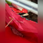 Pink shade Patterned Sleeveless Dress. Lily Pulitzer. Size medium Black Photo 6