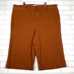 Madewell Emmett Wide-Leg Crop Pants Burnt Sienna, Size 37 Style J8985 Photo 0