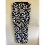 Roz & Ali  Black White Tropical Floral Flower‎ Pull On Stretch Pants Womens 16 Photo 3