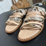 Charles David  Tan and Cream Sandals with Modern Straps Photo 2