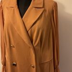 Shelby & Palmer 1. NWT Tan long sleeve double breasted blazer dress SZ 16 W Photo 2