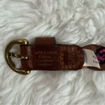 Old Navy Multicolor Braided Belt Photo 1