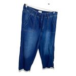 Lane Bryant  Mid Rise Boyfriend Capri Jeans Elastic Waist Pull-On Denim 14 Photo 1