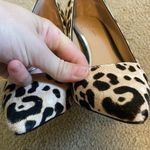 Linea Paolo NWOT PAYTON II Essential Stiletto Fashion Pumps cheetah mob wife Photo 5