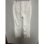 Christopher & Banks  Pants Photo 1