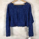 Sequin Hearts Long Sleeve Lace Party cocktail Top NWT Plus Size 22 Photo 0