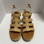 a.n.a A New Approach  Merlin Natural Chunky Heeled Sandals NWT Size 10 Photo 2