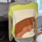 Lush Clothing LUSH Colorblock Chunky Knit Sweater | Size Small | Retro Earth Tones Photo 1