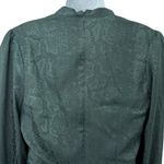 Betsey Johnson  Hunter Green Snake Print Long Sleeve Tie Front Shirt Dress Size 4 Photo 7