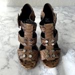 Roger Vivier Brown Snakeskin Buckle Heels Size 8 Photo 3
