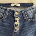 Vervet Flying Monkey Distressed Skinny Jeans Size 24 Photo 2