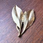 Vintage Double Leaf Clasp Pinless Brooch Pin Gold Tone Photo 4