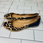 Diane Von Furstenberg DVF Navy and Leopard Botswana Ballet Flats‎ Photo 2