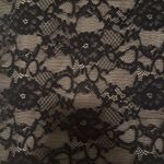 Perseption sz S Women's Sheer Black Floral Lace Tie Neck Lined Top Romantic Chic Photo 2