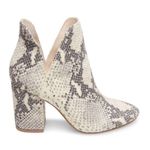 Steve Madden Snakeskin Booties Photo 0