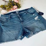 Ava & Viv Destructed Raw Hem Plus Jean Shorts Ava Viv Medium Wash 24W Blue High Rise Midi new Photo 0