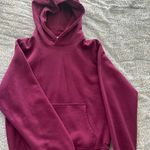 Aritzia TNA Perfect Hoodie Photo 0