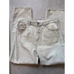 Loft  High Waist Straight Crop Jeans Cream Off White Wash Spring Academia Size 27 Photo 11