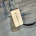 Lane Bryant NWT  Size 14 Loose Straight Signature Mid Rise‎ Denim Jean Grunge Photo 2
