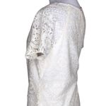 Solitaire Ivory Lace Overlay Sheer Short Sleeves Keyhole Dressy Casual Top M Photo 2