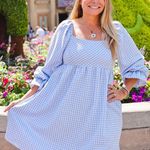 Sugar Fox Garden Picnic Gingham Dress. size 3X Blue Photo 0