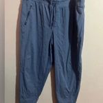 Athleta  Trekkie North Jogger Sz 20 Enchanted Blue Hiking Trail Pants Photo 4