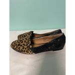 Dooballo Chettah With Glitter Black Flat Shoes‎ S Photo 3