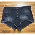 Celebrity Pink  Black Exposed Button Cutoff Shorts Distressed Frayed Size 21/35 Photo 2