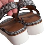 Gentle Souls NEW Leather Lavern Sandals Pewter Snake Snakeskin Size 8 Photo 6