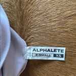 Alphalete Amplify Shorts in Misty Lilac Photo 2