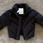 Aritzia Black Puffer Jacket Photo 0