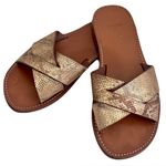 CELINE  Gold ‘Larins’ Criss Cross Python Embossed Leather Sandals, Size 38 Photo 0