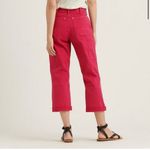 Lucky Brand  cargo Carpenter pink pant size 28 Photo 2