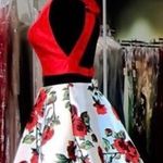 Dave and Johnny Red And Floral Two Peice Homecoming Dress Photo 1