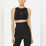 Alo Yoga  Black Bondage Sports Bra Photo 4