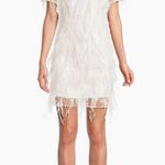 Milly NWT Rana Feather Shift Dress in White Size 8 Photo 1