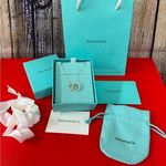 Tiffany & Co. 1837 Silver Interlocking Circles Necklace Photo 1