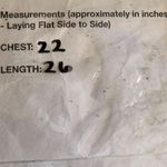 Talbots  Womens Size Large Multicolor Apple Novelty Artsy Print Button Up Shirt Photo 6