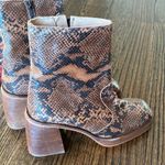 Free People Ruby Shine Platform Boot in Brown Snake Photo 3
