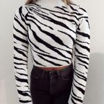 Brandy Melville Zebra Cropped Sweater Photo 0