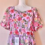 NoliaBae  Lavender Pink Red Floral Embroidered Puff Sleeve Tulle Dress. Photo 1