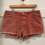 Paige Emmitt Shorts Photo 1