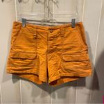 Cute pumpkin spice Y2K cargo shorts cotton canvas GH Bass Orange Size 10 Photo 7