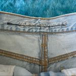 American Eagle Women’s 90s Boyfriend Short Size 2 Photo 6